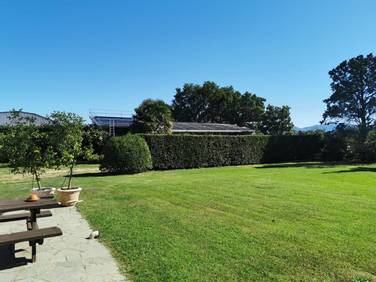 Casale Dei Gelsi Bed & Breakfast Castiglione In Teverina Exterior photo